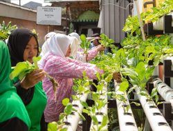 Wanita Tangguh Berkarya lewat Program BRI Peduli BRInita