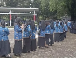 Sebelum Daftar CASN 2024, Ketahui Dulu Perbedaan CPNS dan PPPK