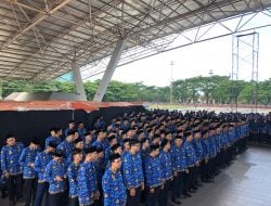 Honorer Tak Lolos PPPK 2024 Bisa Jadi PPPK Paruh Waktu, Apa Bedanya dengan Penuh Waktu?