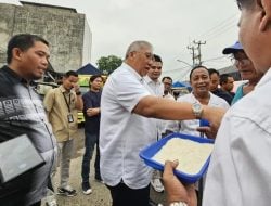 Bos Bulog: Harga Beras Sempat Naik Namun Sulit Turun