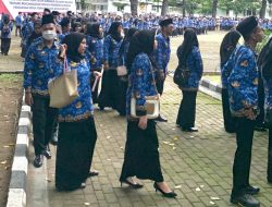 Kerjaan yang Didambakan Calon Mertua, Ini Daftar Lengkap Gaji PNS Golongan I hingga IV