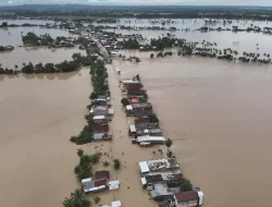 Banjir dan Tanah Longsor Landa Sidrap, Jembatan, Sapi, hingga Rumah Hanyut, Satu Korban Meninggal