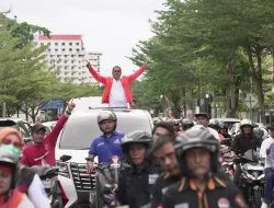 Serius Maju Pilgub Sulsel, Danny Pomanto Resmi Daftar di Tujuh Partai