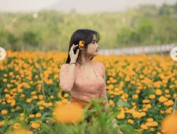Pose Fuji di Tengah Hamparan Bunga, Netizen Sebut Tak Mau Kalah dari Aaliyah Massaid