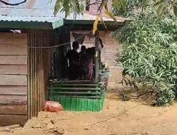 Pemprov Sulsel Pastikan Pemenuhan Pangan dan Air Bersih bagi Warga Terdampak Banjir dan Longsor