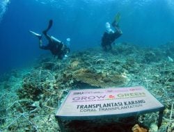 Maknai Hari Lingkungan Hidup Sedunia, BRI Pulihkan Ekosistem dan Lawan Perubahan Iklim Melalui Program BRI Menanam – Grow and Green