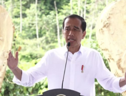 Keyakinan Jokowi Soal Kualitas Udara IKN: Lebih Baik dari Melbourne dan Paris