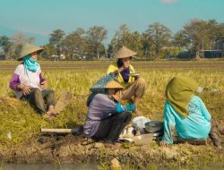 Mendobrak Anggapan Kuliah Kebutuhan Tersier: Kisah Anak Buruh Tani Asal Bone yang Banting Tulang untuk Pendidikan Tinggi