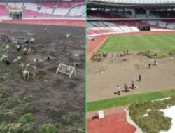 Penanaman Rumput di GBK Disorot, Warganet: Stadion Utama, Tapi Pekerja dan Alat-alatnya Level Tarkam