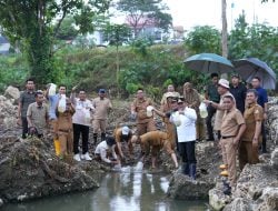 Kembangkan Budidaya Ikan Nila, Pj Bahtiar Dorong Sulbar Menjadi Pusat Komoditi Ikan Nila