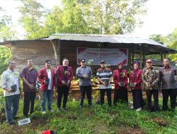 Tanam Pohon Bersama Pj Gubernur Bahtiar, Ketua PDM: Ada Hadist Nabi Tentang Tanam Pohon