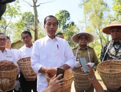 Jokowi Disamakan dengan Soeharto, Jhon Sitorus: Penjilatnya Banyak yang Kecewa