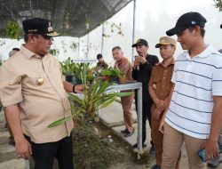 M2B, Jenis Anggrek yang Baru di Mamasa