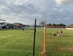 Baru Beberapa Hari Bergabung, Nermin Haljeta Sudah Absen Latihan