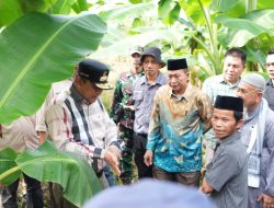 Studi Lapang Pisang di Tanralili Maros, Pj Gubernur Bahtiar Serius Industrikan Pisang Kepok di Sulbar