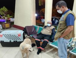 Pakar Anjing Ini Terisak Mengenang Letjen Doni Monardo