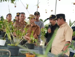 Anggrek Mamasa Menatap Dunia, Pj Bahtiar bersama Komunitas Anggrek, Dorong Konservasi Skala Besar