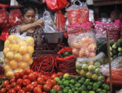 Tips Simpan Sayuran Biar Awet Lebih Lama: Nggak Lagi Beli Hari Ini, Busuk Besok!