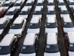 Pemerintah Sebut Sewa Mobil Rp25 Juta per Hari untuk HUT RI di IKN Tidak Mahal, Ary Prasetyo Beri Sindiran Menohok
