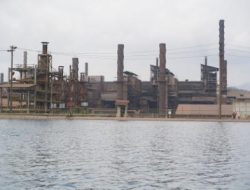 Dorong Transisi Energi Berkelanjutan, PT Vale Tingkatkan Penggunaan Biomassa pada Pabrik Pengolahan