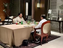 Soal Pertemuan Jokowi dan Prabowo, Pengamat: Ada Pembahasan PDIP Diajak Masuk Koalisi Atau Tidak