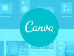Yuk Simak! Berikut Panduan Lengkap Cara Cek Domain di Canva untuk Pemula