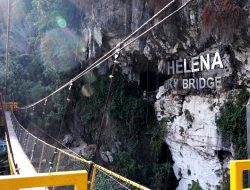 Dari Helena Sky Bridge, Menikmati Keindahan Kepak Sayap Kupu-kupu di Atas Jembatan Gantung