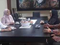 Zulhas Temui Jokowi, Doter Tifa: Ini Orang Ketakutan, Mengadu kepada Orang yang Salah