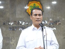 Swasembada Pangan di Depan Mata, Stok Beras RI Nyaris Tembus 4 Juta Ton
