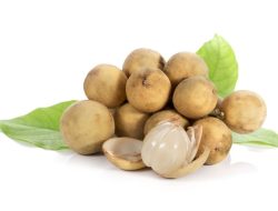 Manfaat Buah Langsat Untuk Ibu Hamil