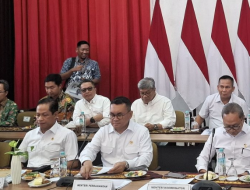 Harga Pangan Stabil Pasca Natal 2024, Mendag: Ketersediaan Terjamin