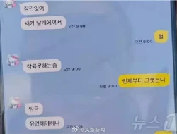 Viral Pesan Terakhir Warga Thailand kepada Keluarga, Korban Pesawat Jeju Air 7C2216