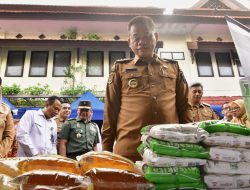 Pertama di Indonesia Tahun 2025, Sulsel Luncurkan Gerakan Pangan Murah