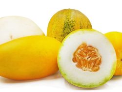 Atasi Hipertensi dengan Konsumsi Buah Timun Suri