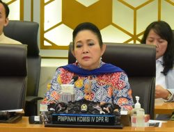 Baru Separuh Pagar Laut yang Dicabut, Titiek Soeharto Bakal Cecar Menteri KKP
