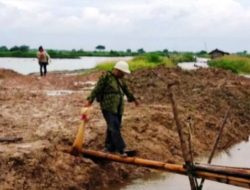 Selain Lautnya Dipagari, Sawah dan Tambak Warga Kronjo Dijual karena Tekanan, Sudah Murah Dicicil Pula