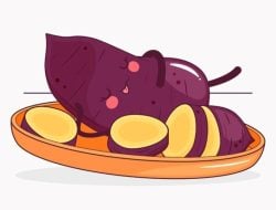 Manfaat Luar Biasa Ubi Jalar untuk Makanan Bayi, Kaya Gizi dan Sehat