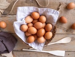 Cara Mudah Membedakan Telur Segar dan Tidak Segar, Jangan Sampai Salah Pilih!