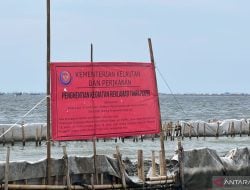 Kejagung Lepas Tangan, Kasus Pagar Laut Terancam Tak Jelas, Tommy Shelby: Jangan Dibiarkan Tenggelam