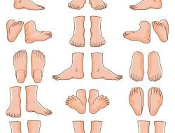 Mengungkap Kepribadian Melalui Bentuk Kaki