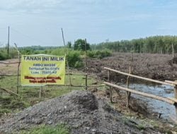 Babat Hutan Mangrove 6 Hektare di Lahan Sendiri, Warga Maros Ditetapkan Tersangka