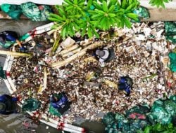 Sungai Watch Rilis Daftar Merek Penyumbang Sampah Terbesar, Aqua Nomor Satu