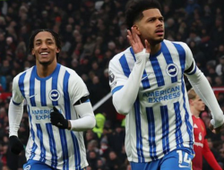 Brighton Bidik Kemenangan Beruntun atas Chelsea di Liga Inggris