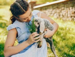 5 Zodiak yang Paling Cinta Hewan: Apakah Kamu Salah Satunya?