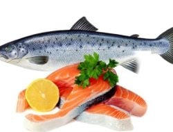 Deretan Ikan Rendah Purin, Cocok untuk Mengatasi Asam Urat