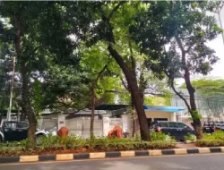 Elite PDIP Bergantian Temui Megawati Soekarnoputri, terkait Penahanan Hasto Kristiyanto?