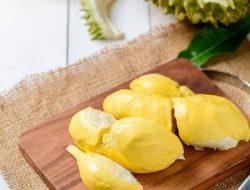 10 Khasiat Buah Durian untuk Kesehatan, Pria Pasti Ketagihan