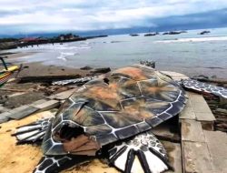 Heboh… Patung Penyu Senilai Rp15 Miliar Jebol, Terbuat dari Resin, Fiberglass, dan Kardus