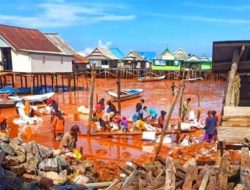 Pakar Lingkungan Sebut Pulau Kecil Kabaena Hancur Demi Ambisi