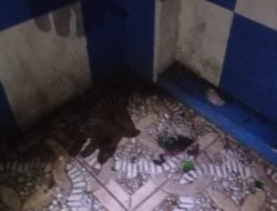 Kembali Terjadi, Poslantas Makassar Jadi Target Teror Molotov